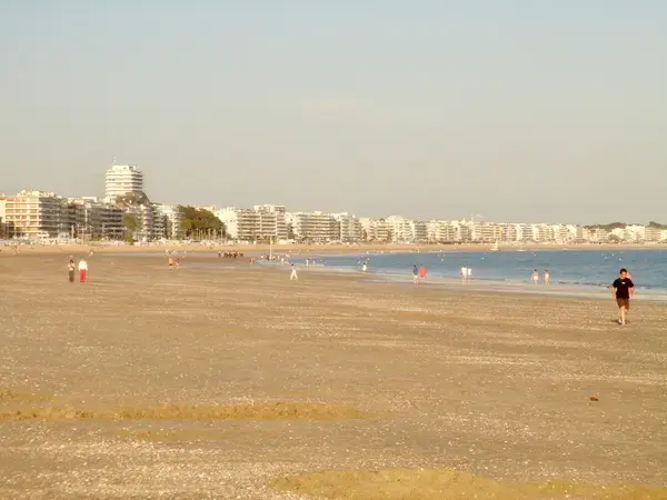  Borne de Recharge 44 Installateur borne de recharge La Baule-Escoublac