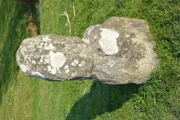  Borne de Recharge 44 Installateur borne de recharge Prinquiau